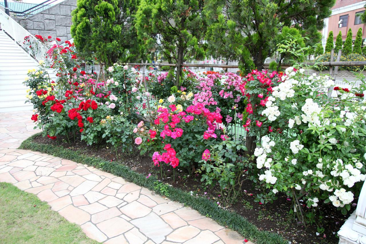 Hotel Sunlife Garden Hiratsuka Ngoại thất bức ảnh